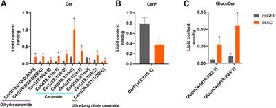 Alkaline ceramidase (ClAC) inhibition enhances heat stress response in Cyrtorhinus lividipennis (Reuter)